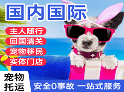 胶东航空运输国际宠物托运 【国